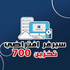 سيرفر إفتراضي تخزين VPS 700